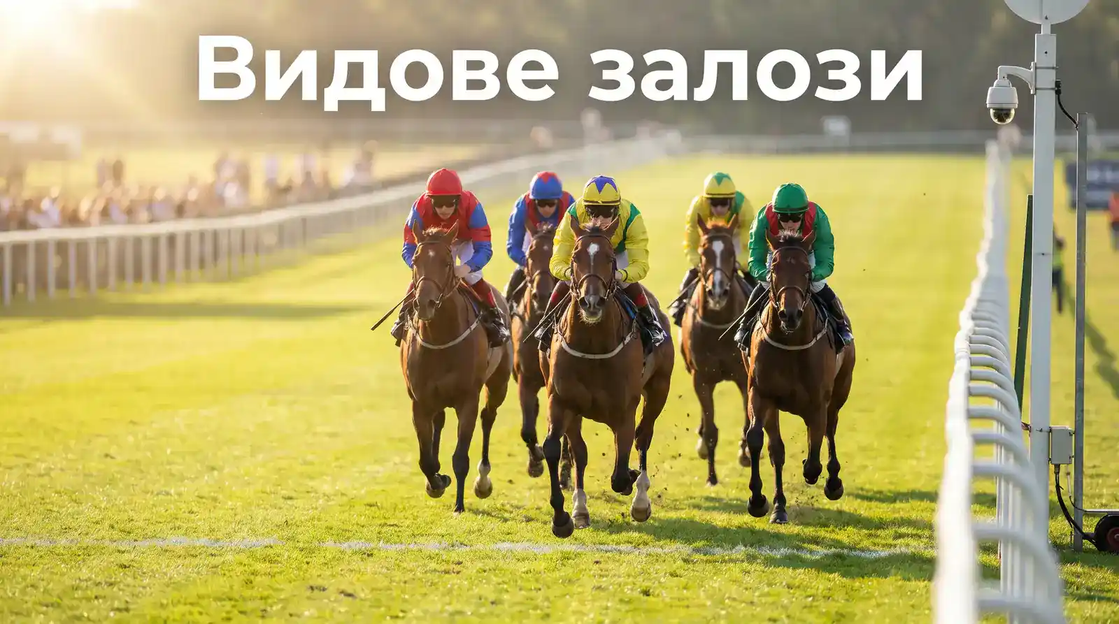 Финална права на виртуална конна гонка с конете преди линията